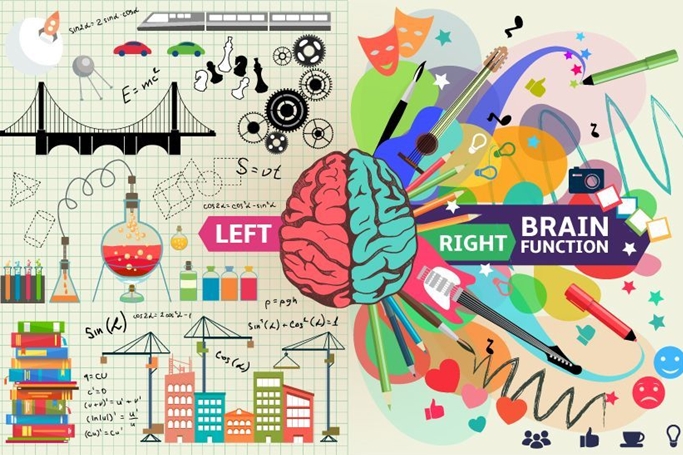 コレを知れば相手の本音を見抜ける 左脳と右脳の違い りゅういちブログ